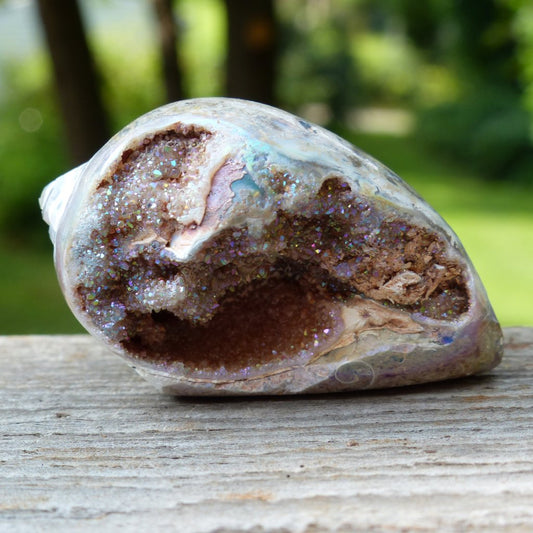 Aura Druzy Shell (#3) - Simply Affinity