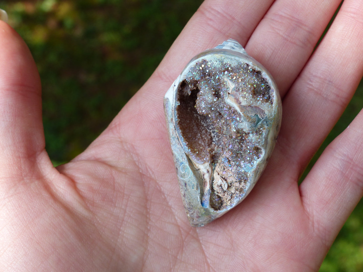 Aura Druzy Shell (#3) - Simply Affinity