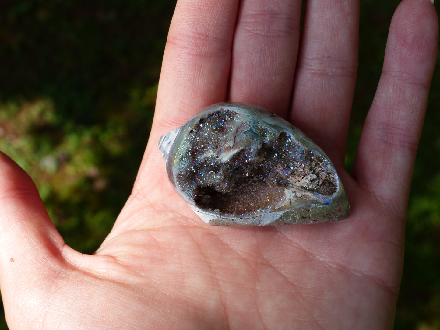 Aura Druzy Shell (#3) - Simply Affinity