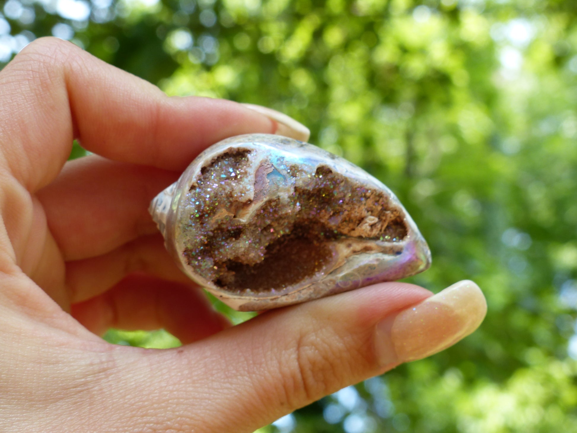 Aura Druzy Shell (#3) - Simply Affinity