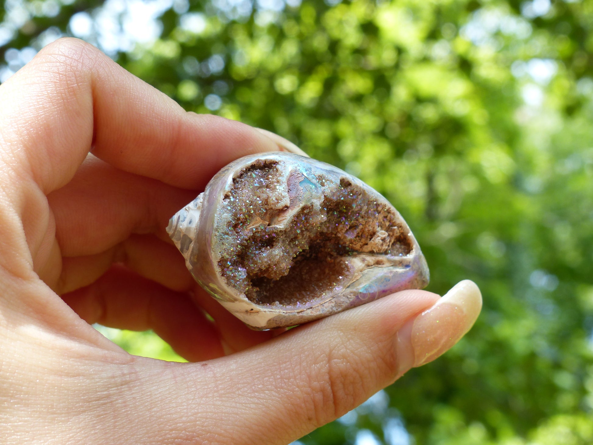 Aura Druzy Shell (#3) - Simply Affinity