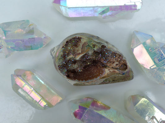 Aura Druzy Shell (#3) - Simply Affinity