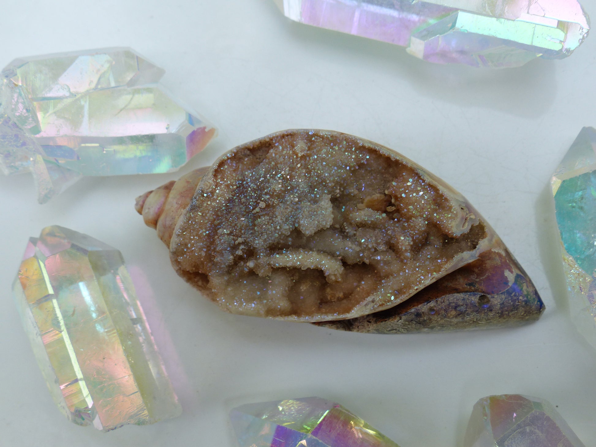 Aura Druzy Shell (#2) - Simply Affinity