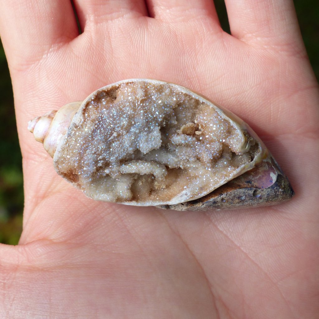 Aura Druzy Shell (#2) - Simply Affinity