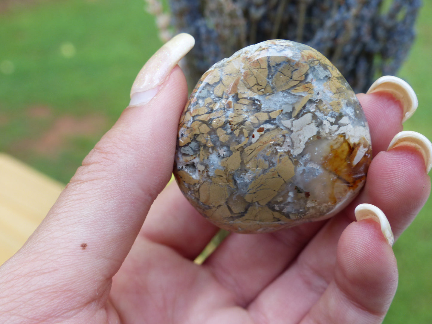Ibis Jasper Palm Stone (#3)