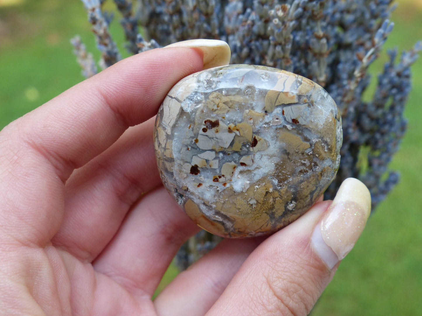 Ibis Jasper Palm Stone (#3)