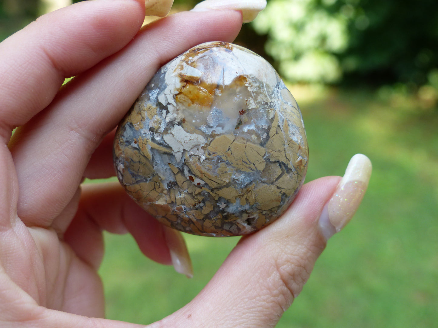 Ibis Jasper Palm Stone (#3)
