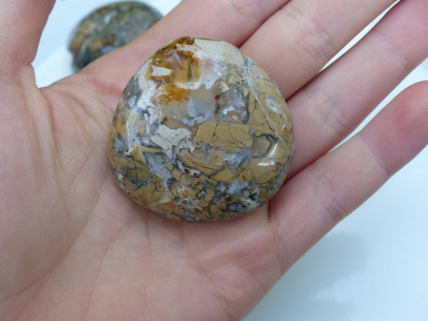 Ibis Jasper Palm Stone (#3)