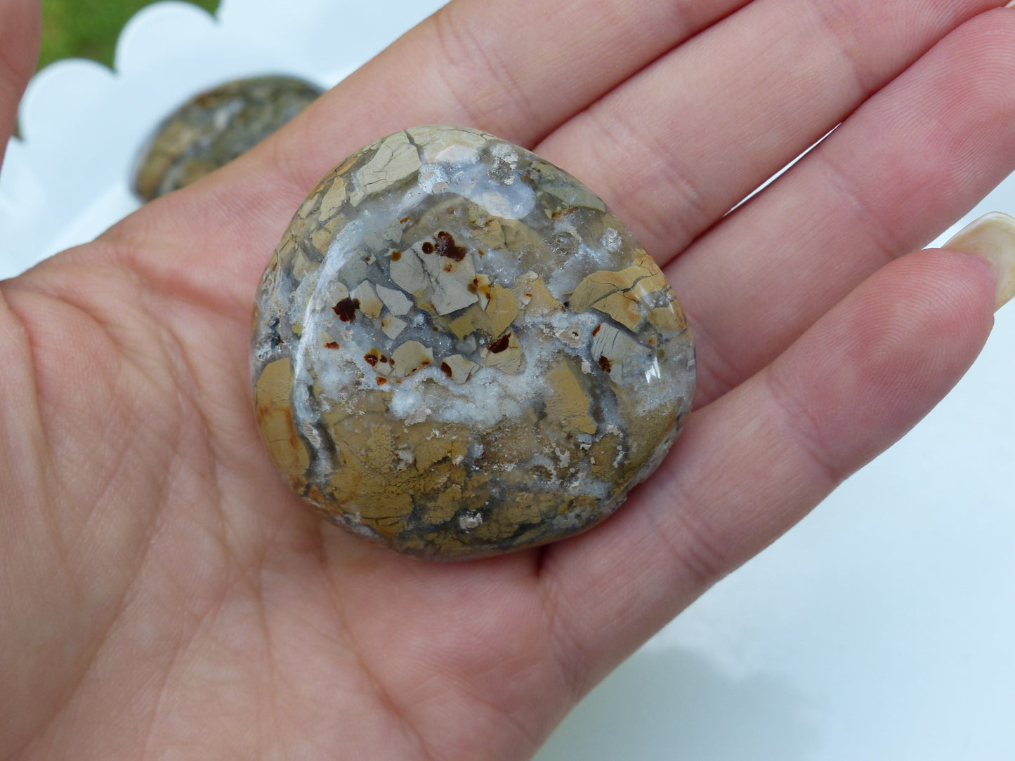 Ibis Jasper Palm Stone (#3)