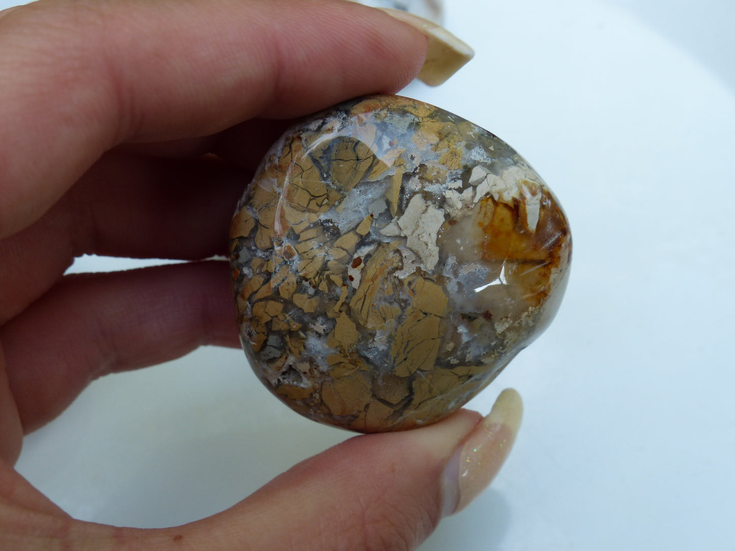 Ibis Jasper Palm Stone (#3)