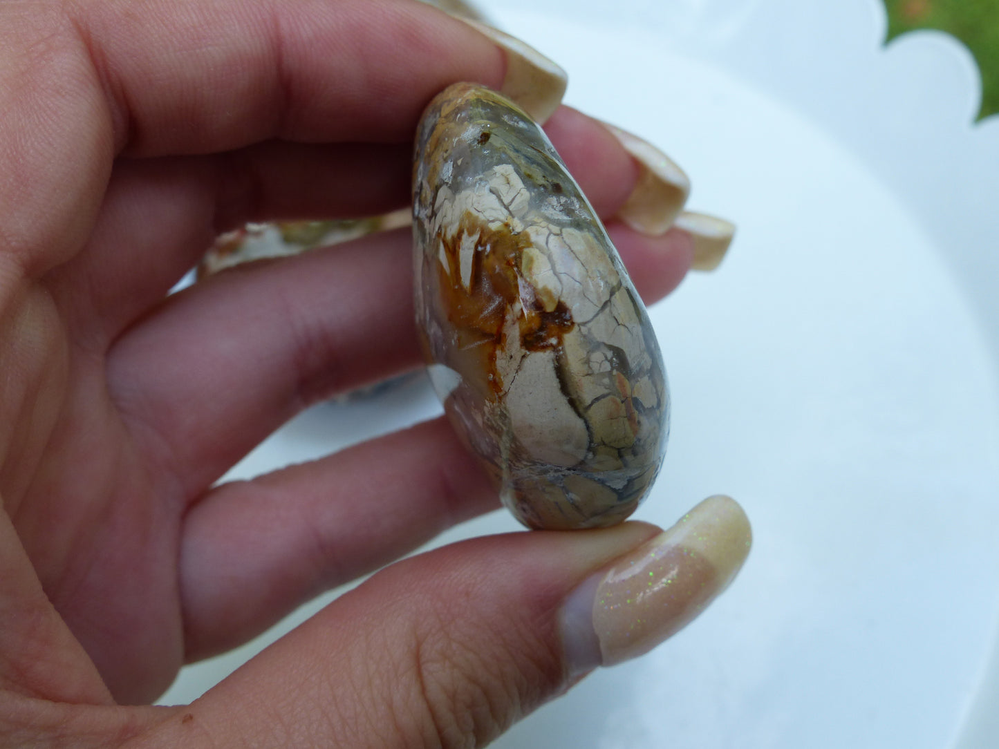 Ibis Jasper Palm Stone (#3)