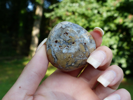 Ibis Jasper Palm Stone (#3)