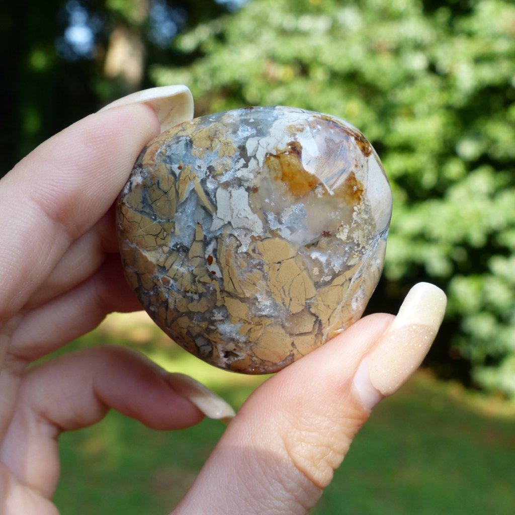Ibis Jasper Palm Stone (#3)