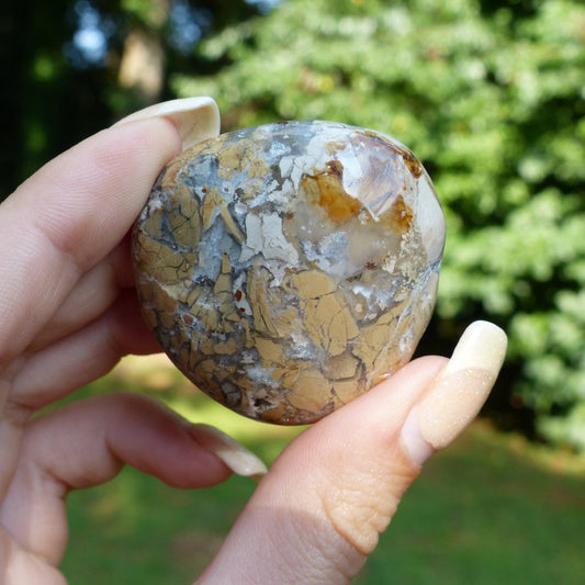 Ibis Jasper Palm Stone (#3)