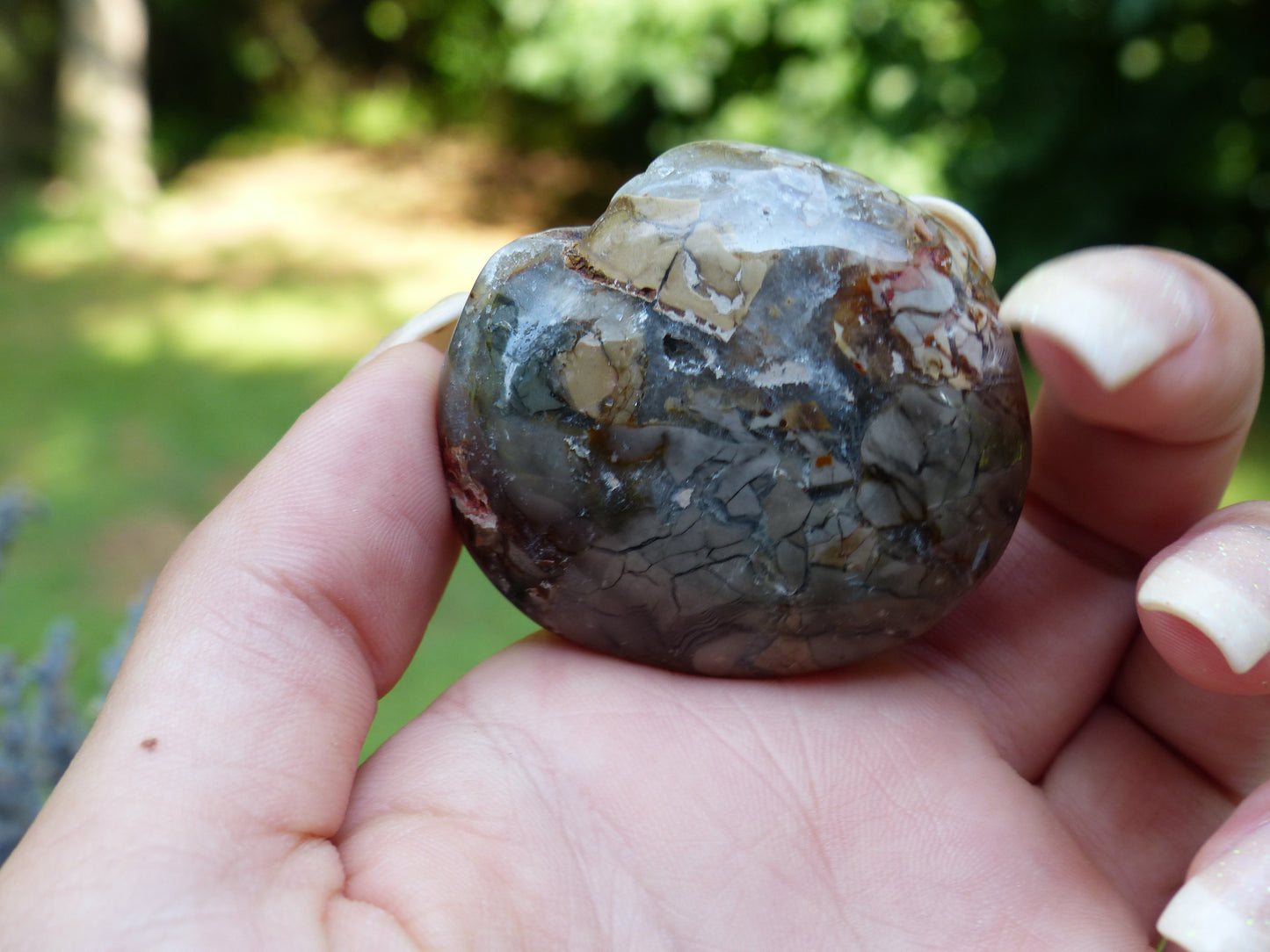 Ibis Jasper Palm Stone (#1)