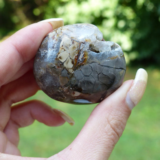 Ibis Jasper Palm Stone (#1)
