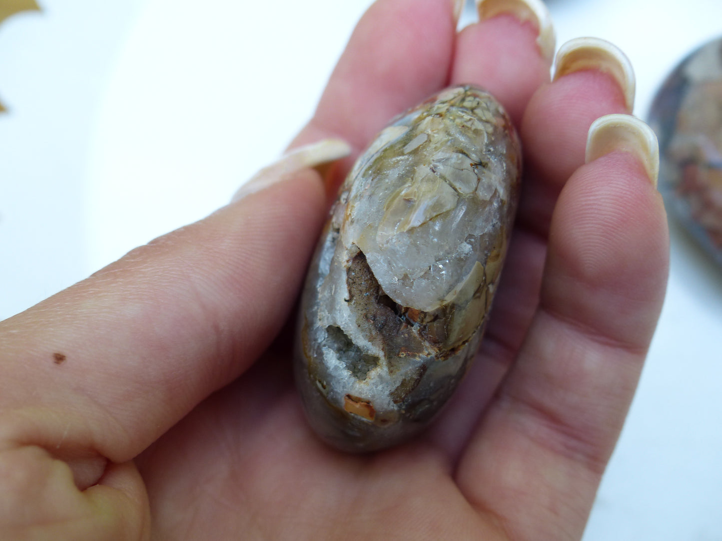 Ibis Jasper Palm Stone (#1)