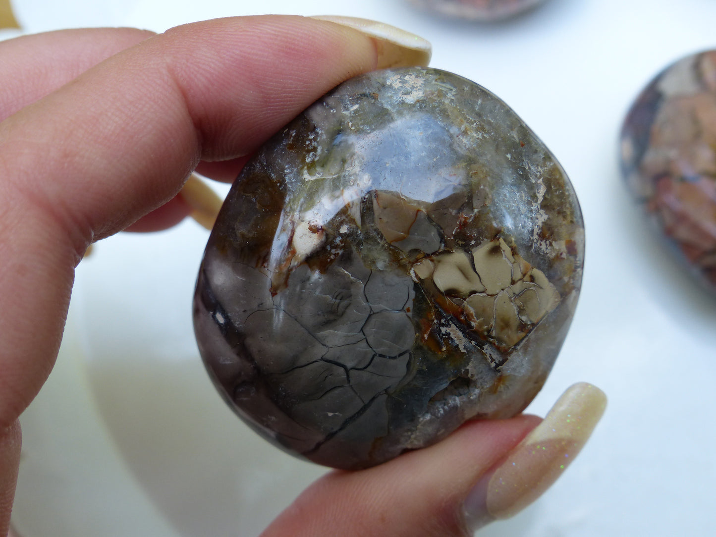 Ibis Jasper Palm Stone (#1)