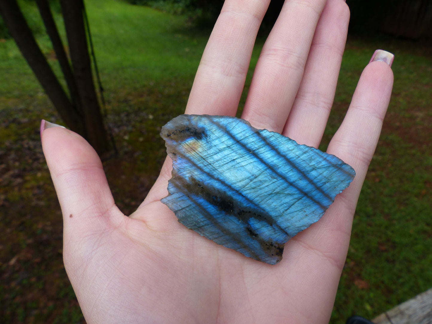 Labradorite Slab, Blue Labradorite (#1)