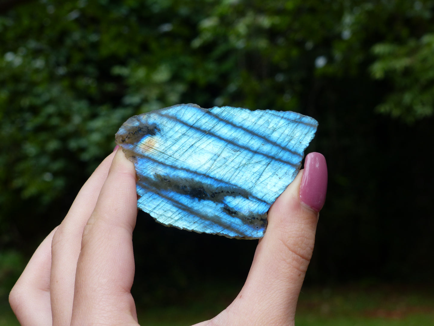 Labradorite Slab, Blue Labradorite (#1)