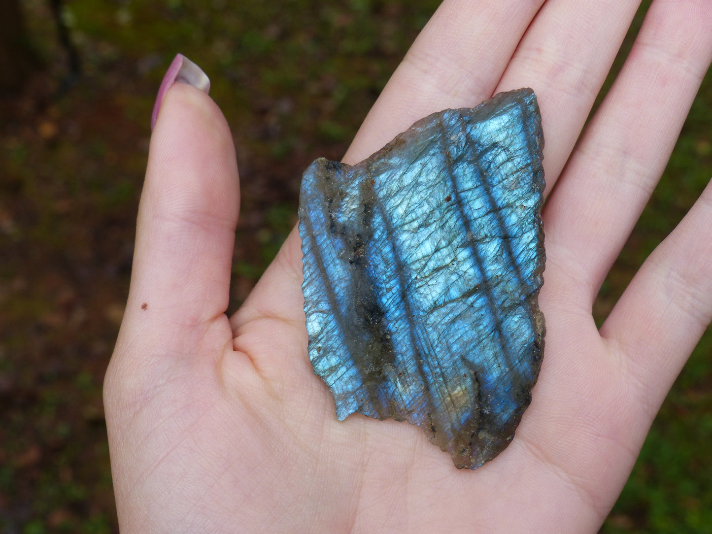 Labradorite Slab, Blue Labradorite (#1)