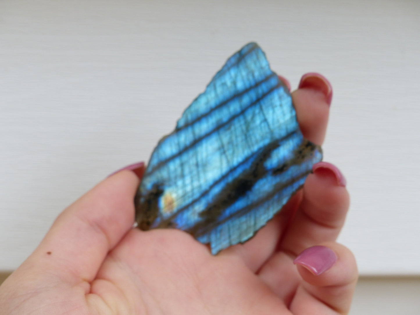 Labradorite Slab, Blue Labradorite (#1)