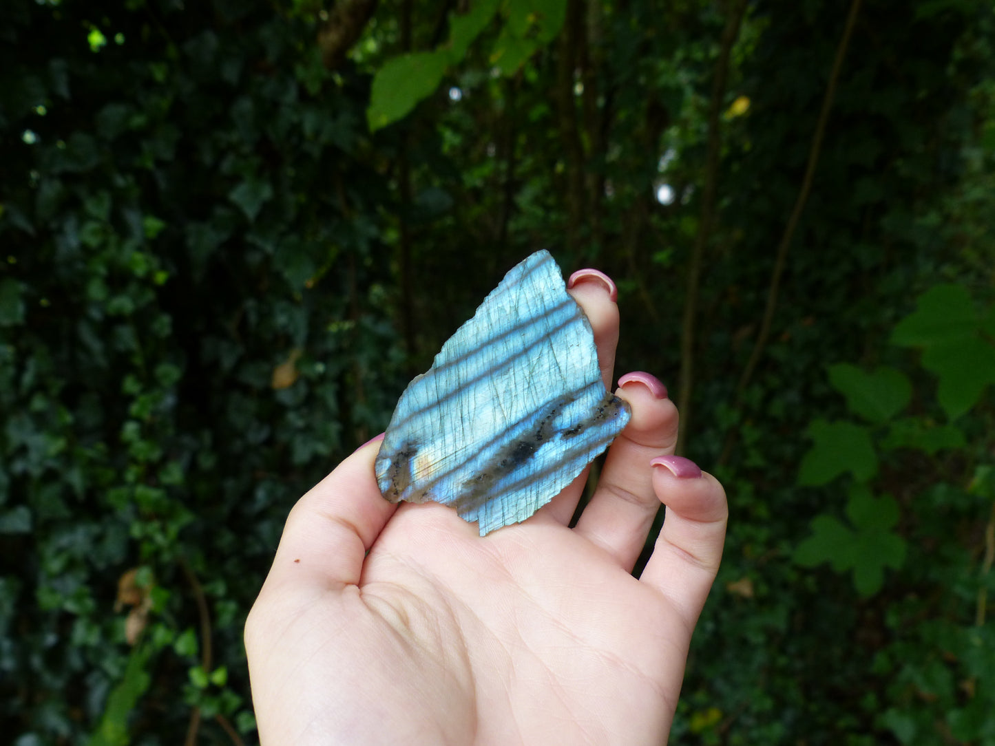 Labradorite Slab, Blue Labradorite (#1)