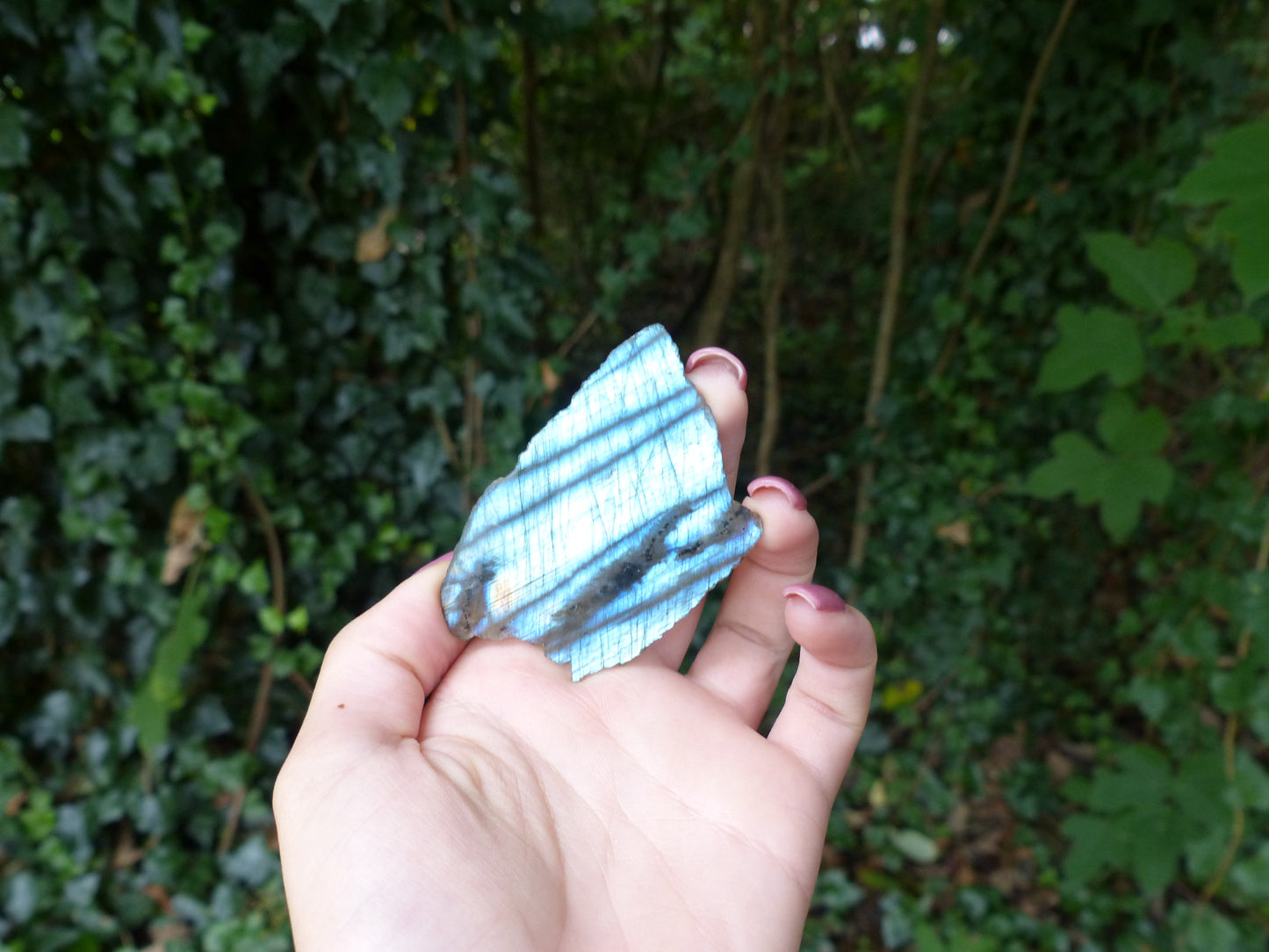 Labradorite Slab, Blue Labradorite (#1)