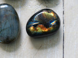 Labradorite Palm Stone, Firey Yellow & Orange Labradorite (#13)