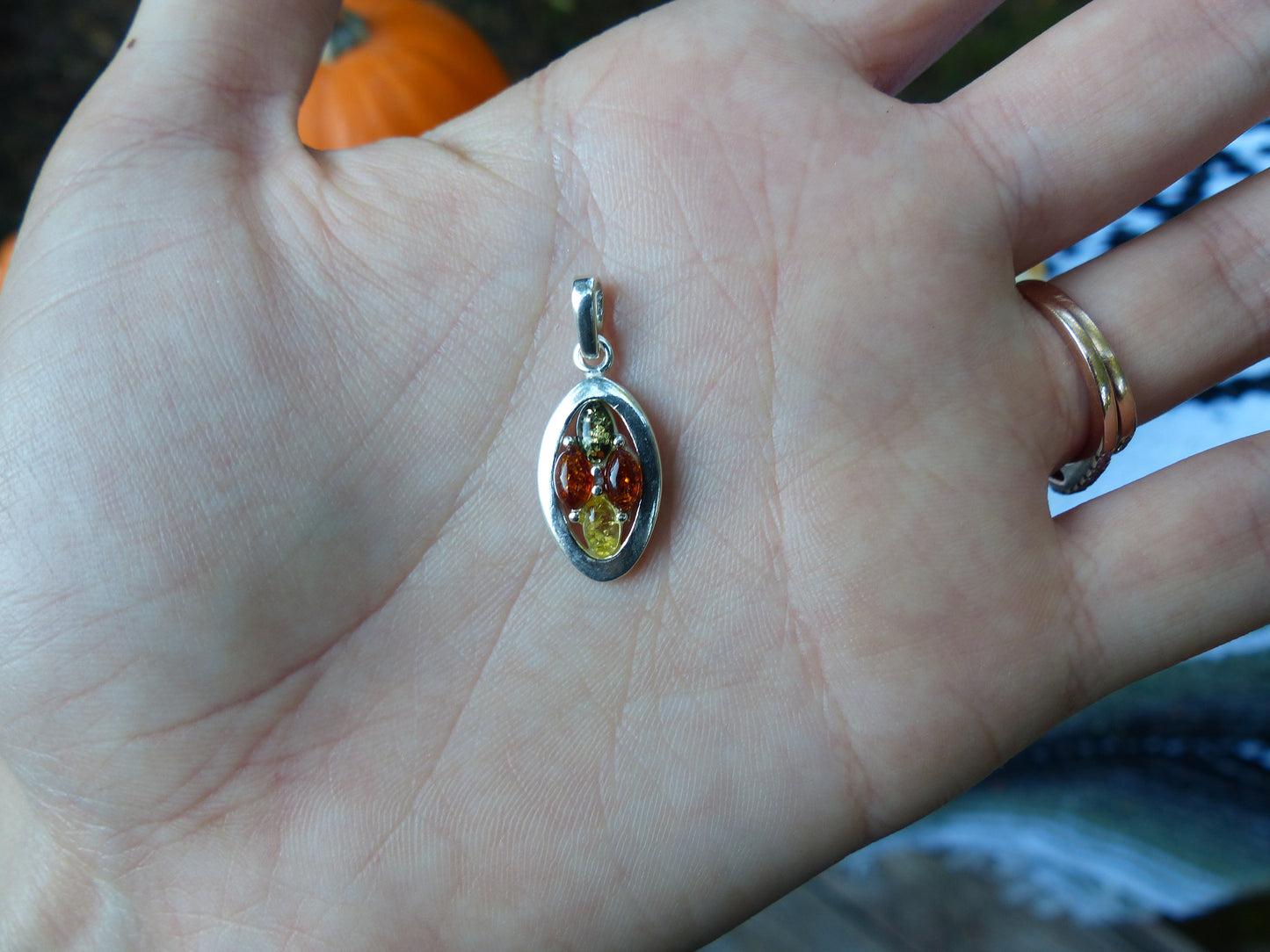 Multicolored Baltic Amber Pendant in Sterling Silver (#5)