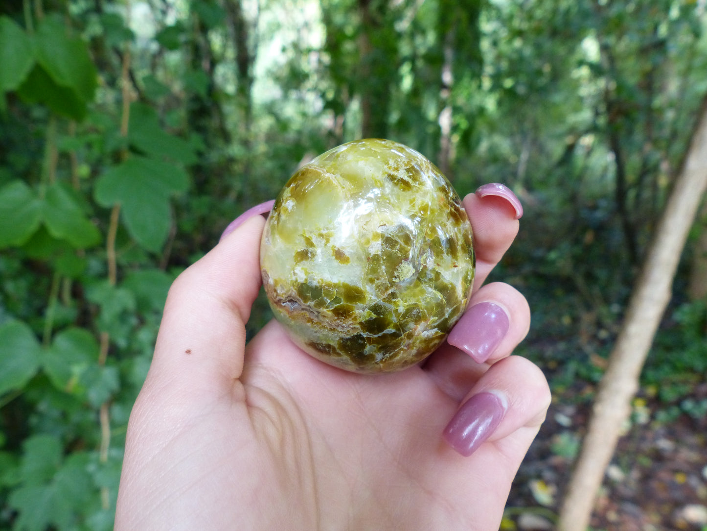 Green Opal Palm Stone (#7)