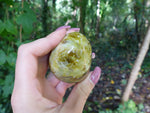 Green Opal Palm Stone (#7)