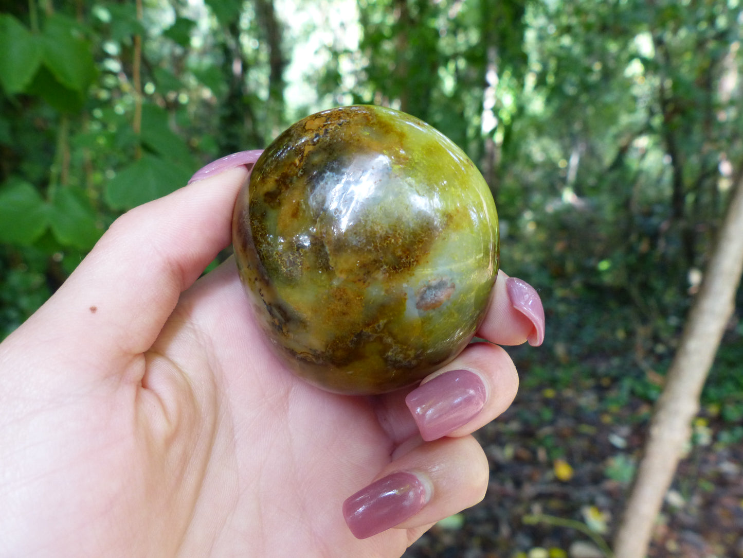 Green Opal Palm Stone (#5)