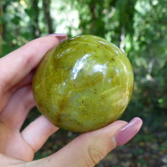 Green Opal Palm Stone (#5)
