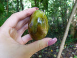 Green Opal Palm Stone (#5)