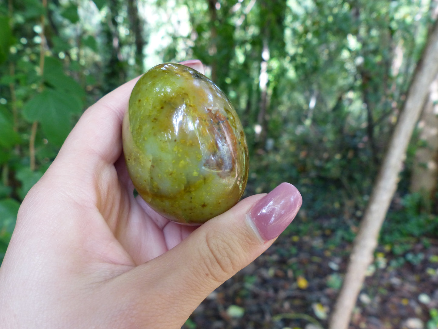 Green Opal Palm Stone (#5)