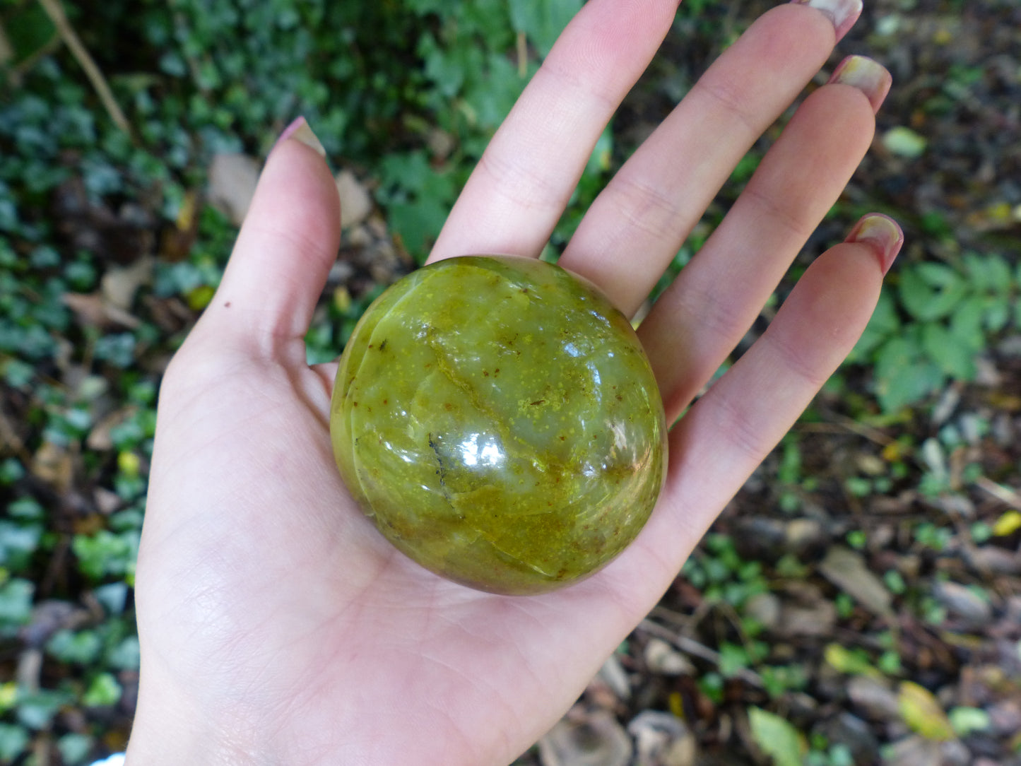 Green Opal Palm Stone (#5)