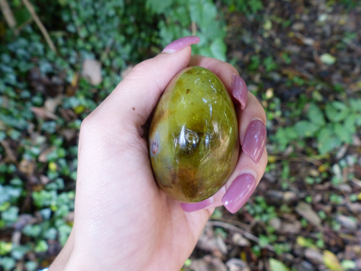 Green Opal Palm Stone (#5)
