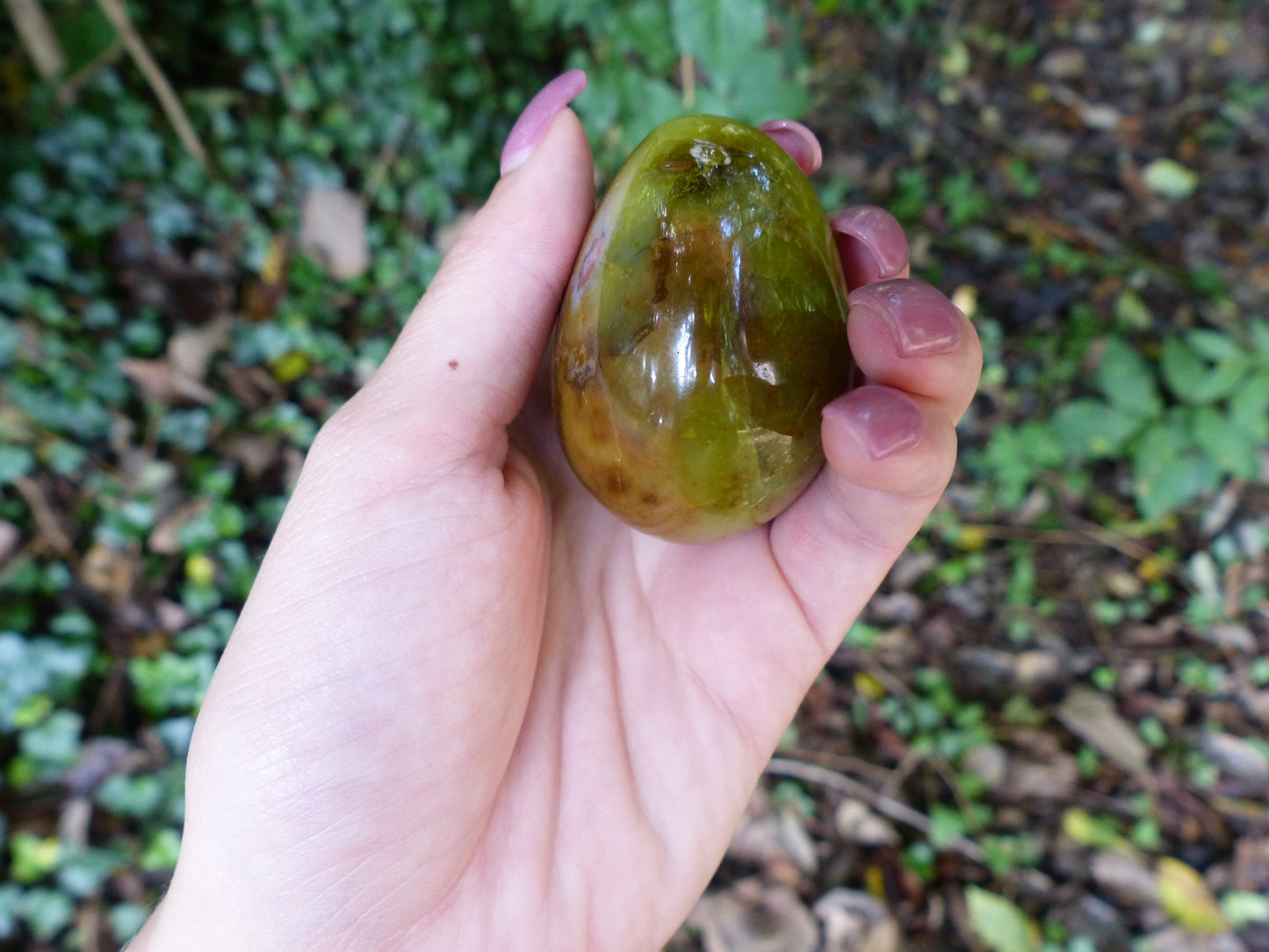 Green Opal Palm Stone (#5)