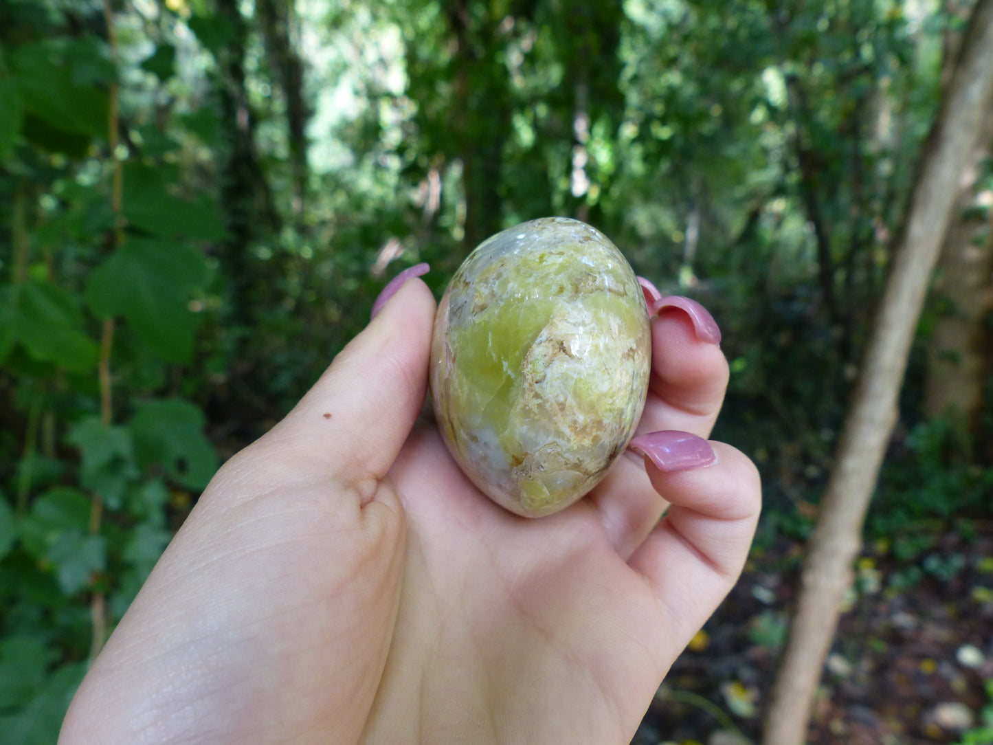Green Opal Palm Stone (#6)