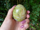 Green Opal Palm Stone (#6)