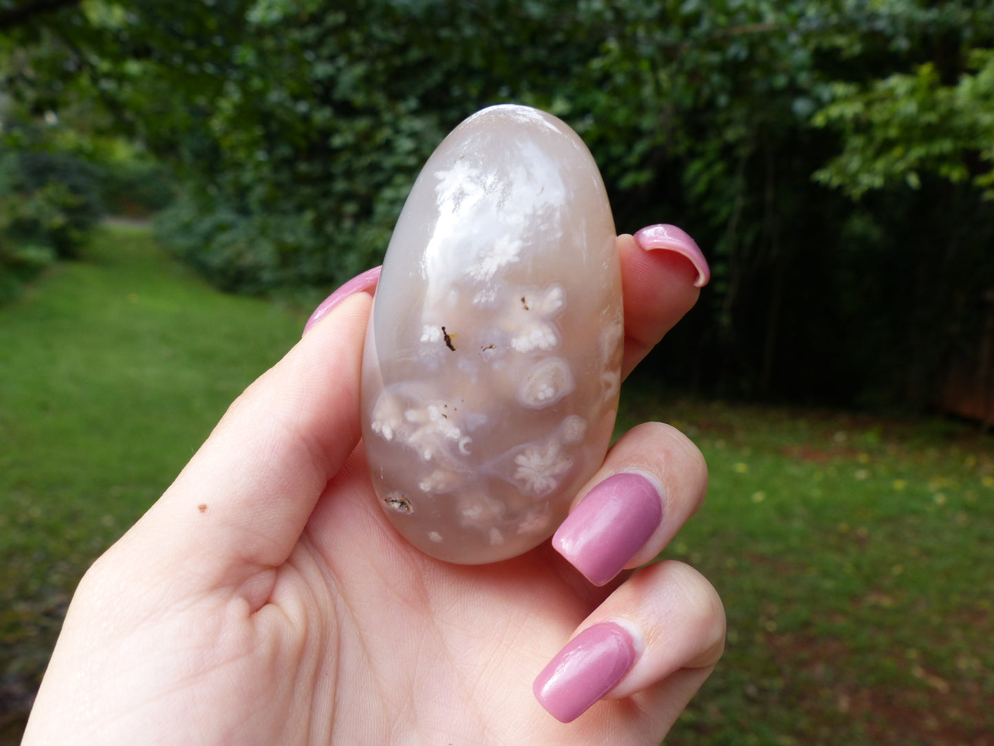 Flower Agate Palm Stone (#6)