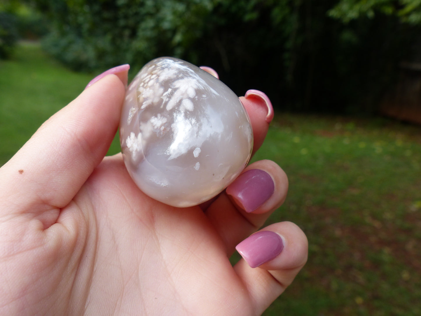 Flower Agate Palm Stone (#6)