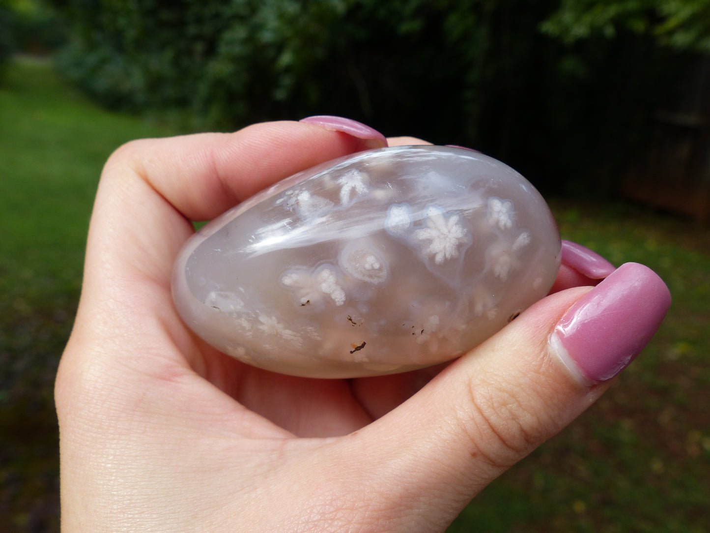 Flower Agate Palm Stone (#6)