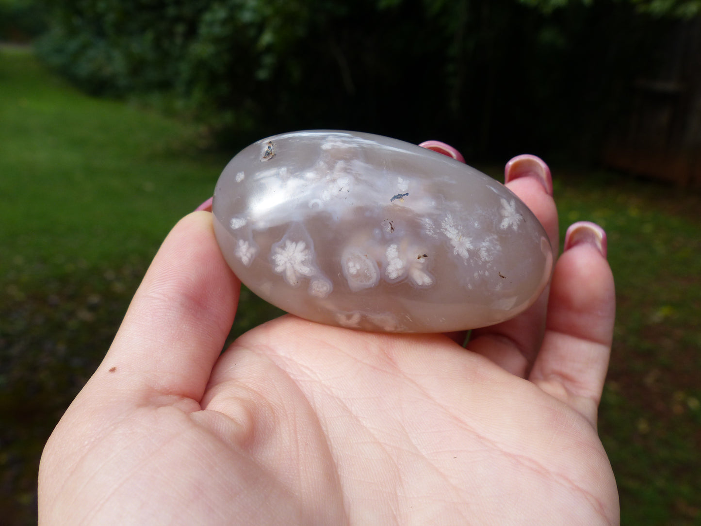 Flower Agate Palm Stone (#6)