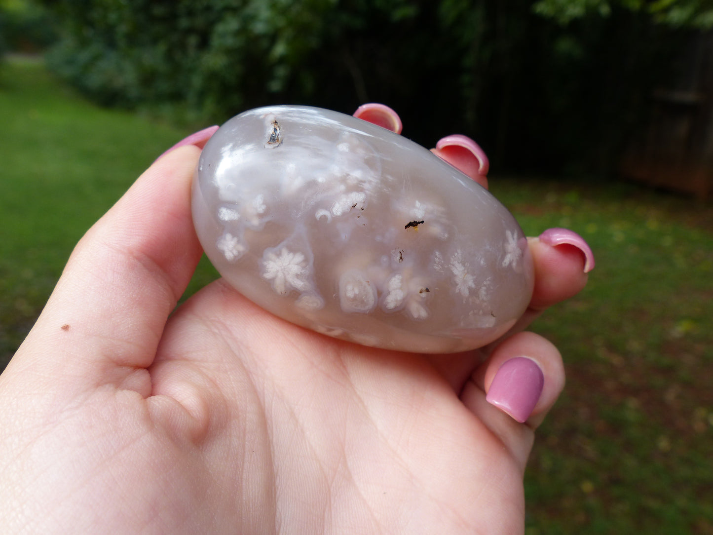 Flower Agate Palm Stone (#6)