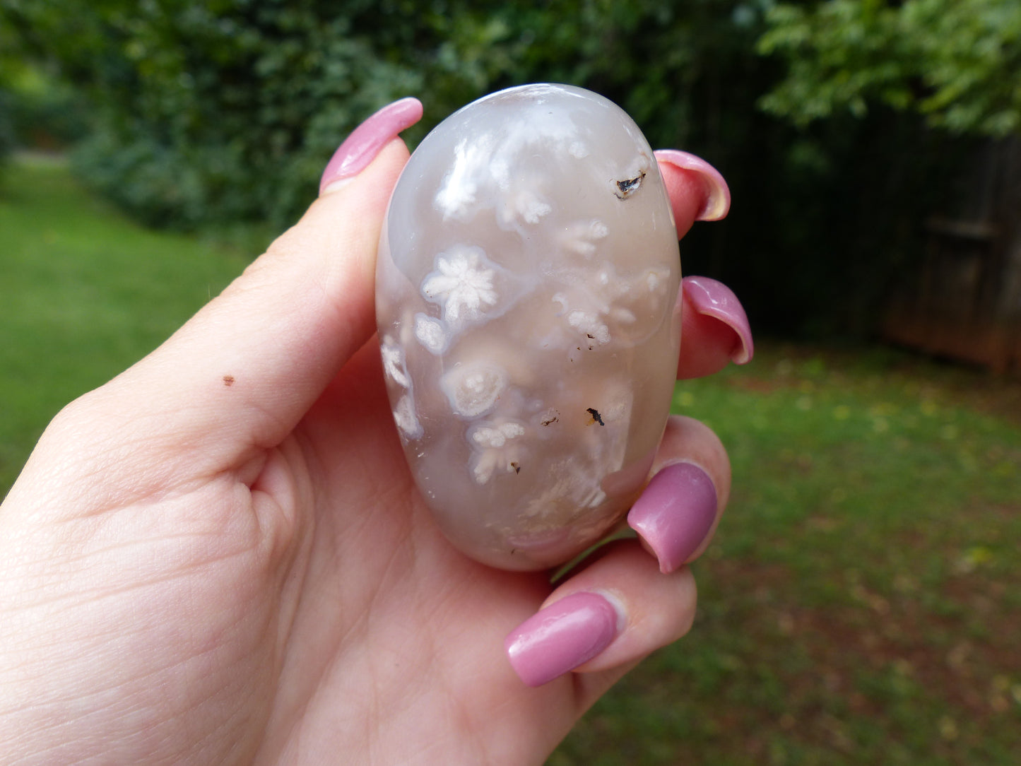 Flower Agate Palm Stone (#6)
