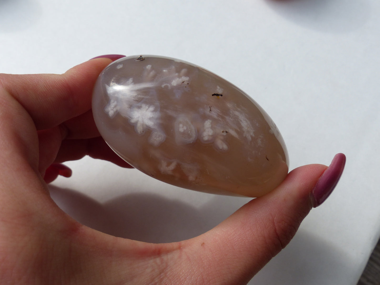 Flower Agate Palm Stone (#6)