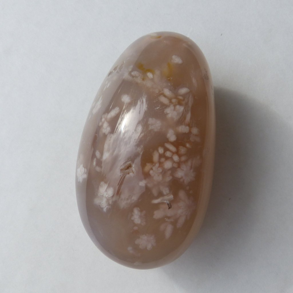 Flower Agate Palm Stone from Madagascar