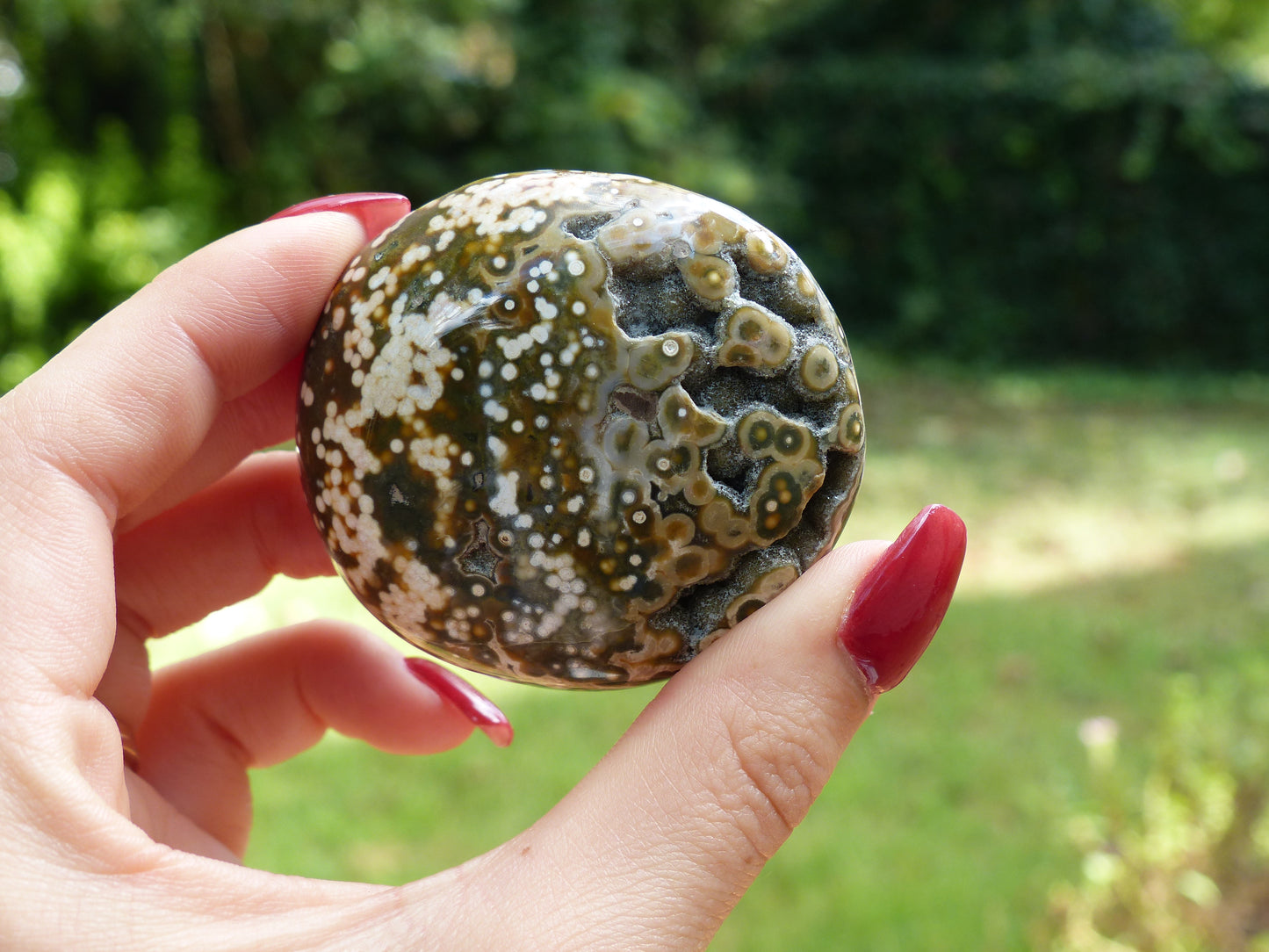 Ocean Jasper Palm Stone (#6)